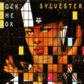Sylvester – Rock The Box