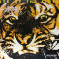 Survivor – Eye Of The Tiger