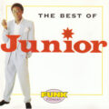 R-1733298-1239871190 Junior – The Best Of Junior