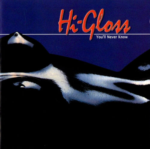 R-12469733-1535910795-6891 Hi-Gloss – You'll Never Know