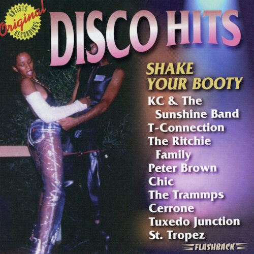 Disco Hits: Shake Your Booty